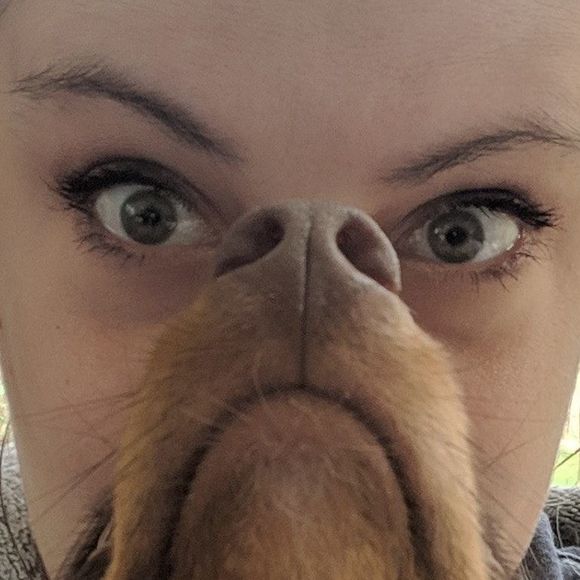 Meet your Posher, Beth - Picture 4 of 5